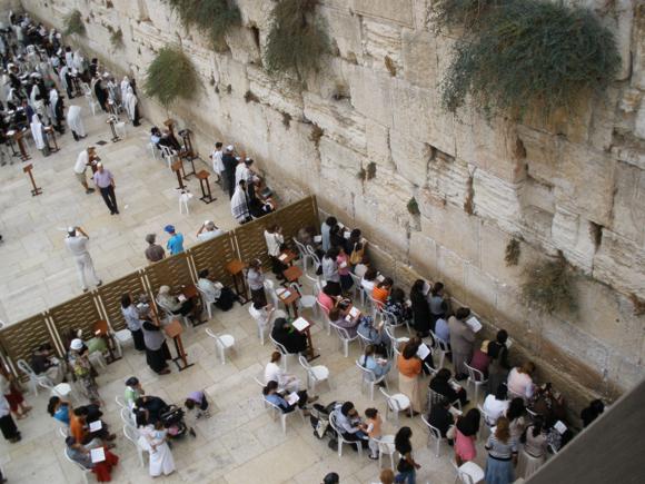 Im�genes integradas 1