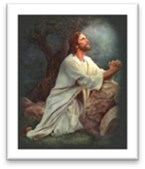 Un dibujo de una persona
Descripción generada automáticamente con confianza baja